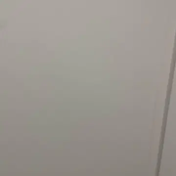 시프 가죽 A 2 자켓