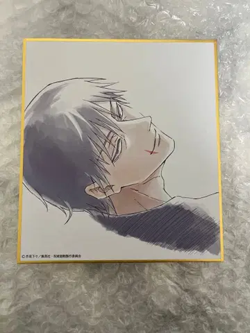 애니메이션 주술회전전 미니 색지 젠인 토우지