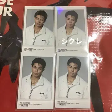 타케치 카이세이