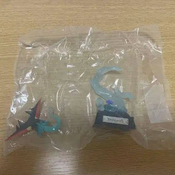 포켓몬스터 리멘트 드랄레