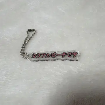 컬러풀 피치 전시회 테롭 키링 전원 집합