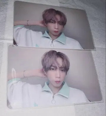 우라타누키 Update. 미니 포토 카드 폴라로이드