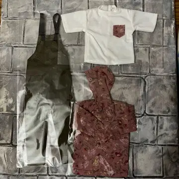 6분의1 남자 도감 보타니컬 나인 PS 아웃핏 3점만