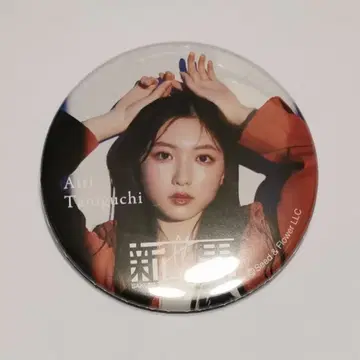 타니구치 아이리 캔뱃지 사쿠라자카46전 신세카이