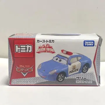 카즈토미카 샐리 폴리스카 타입