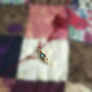 새상품 아가트 래브라도 라이트 참 K5