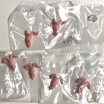 정글은 언제나 맑음 뒤 흐림 춤춘다! 포쿠테 세트