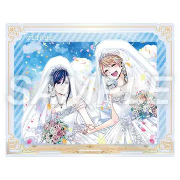 코믹 백합희전 아크릴 디오라마 사브로타 citrus