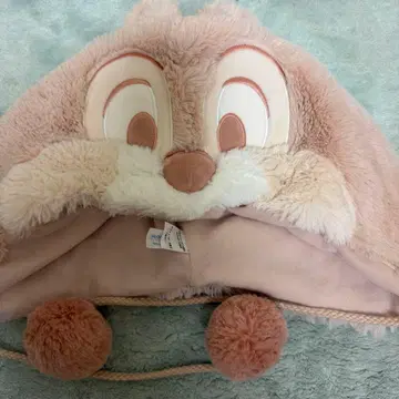 디즈니 팬캡 칩과 데일