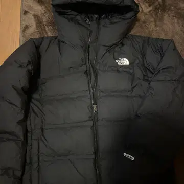 THE NORTH FACE GORE-TEX INFINIUM L