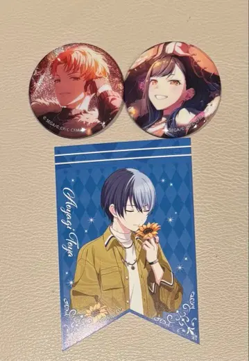 프로세카 캔뱃지 vol.44B