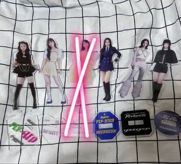 케플러 영은 아크릴 스탠드 5개