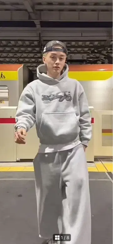 iDe 그레이 후드티 뱀 디자인