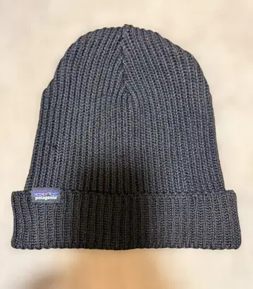 Patagonia 박스 로고 비니 니트 캡