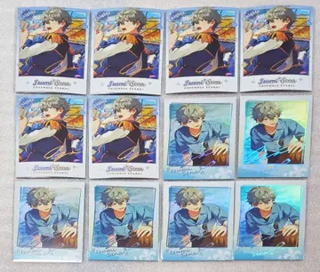 앙스타 중국 파샤코레 폴라로이드 체키 세나 이즈미