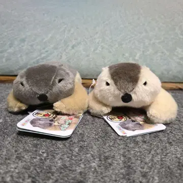 Dr.마모트 마모치오모푸쿠의 페탄&마모 스모 봉제 인형 2체 세트