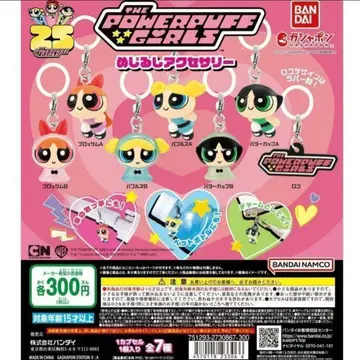 파워퍼프걸즈 메지루시 액세서리 컴플리트