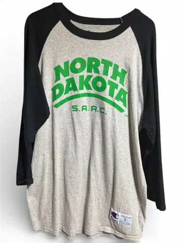 Champion 빈티지 T L 사이즈