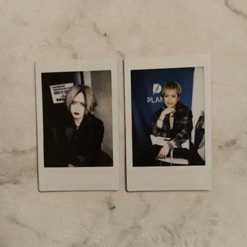 DIAURA 폴라로이드 yo-ka 쇼야 아오모리 삿포로