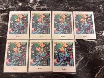 앙스타 라이카 파샤츠 vol.6