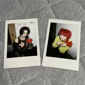 달콤한 폭력 치치뿌이뿌이. 11/30 공연 폴라로이드 2장 세트