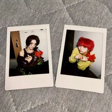 달콤한 폭력 치치뿌이뿌이. 11/30 공연 폴라로이드 2장 세트
