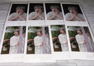 우라타누키 포토 카드 묶음 판매