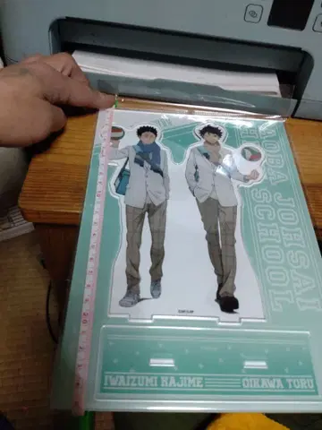 하이큐 아크릴 스탠드 오이카와 토오루와 이와이즈미 하지메 약 25cm