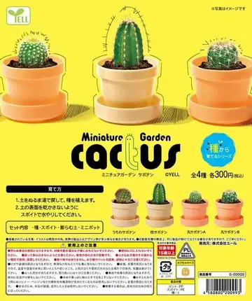 미니어처 정원 ~선인장~ 전 4종 풀 컴프