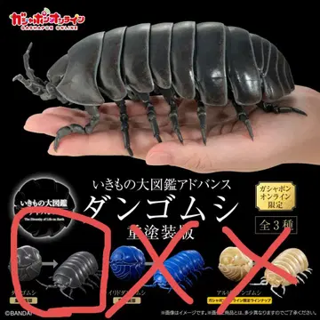 생물대도감 어드밴스 온라인 한정판 오카단고무벌레 중도장판 새상품