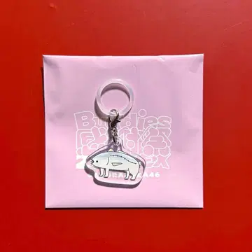 사쿠라자카46 마츠모토 카즈코 랜덤 메지루시 참