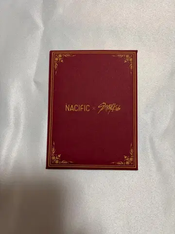 스트레이 키즈 나시픽 NACIFIC 컴프 8