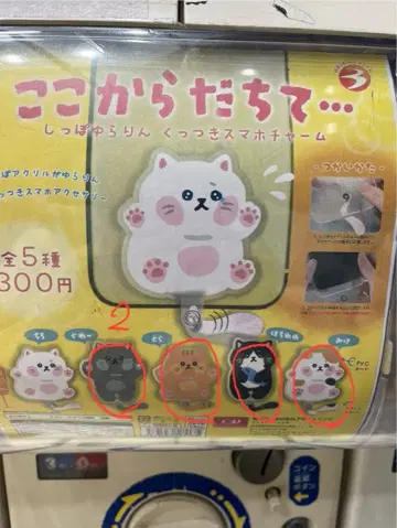 여기서 떨어져 붙는 스마트폰 참 고양이