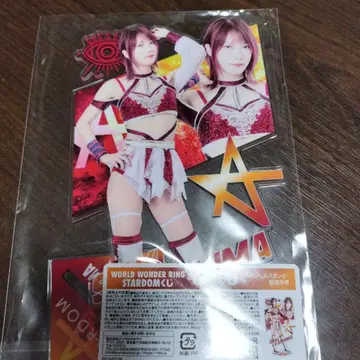 STARDOM 복권 돈키 아크릴 스탠드 카시마 사키