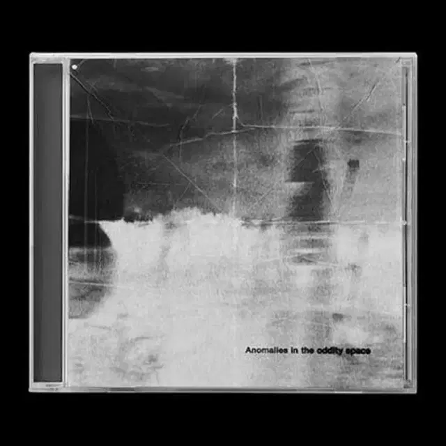 더 폴스 Anomalies in the oddity space cd 앨범