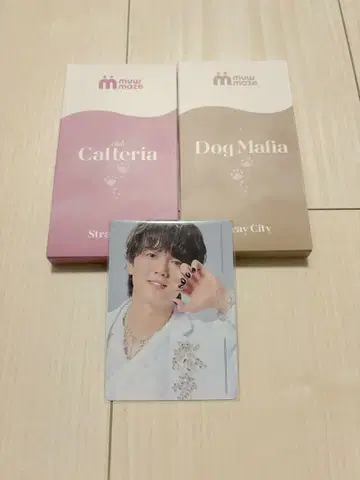 캐터리아 네일씰 시오타 잇키