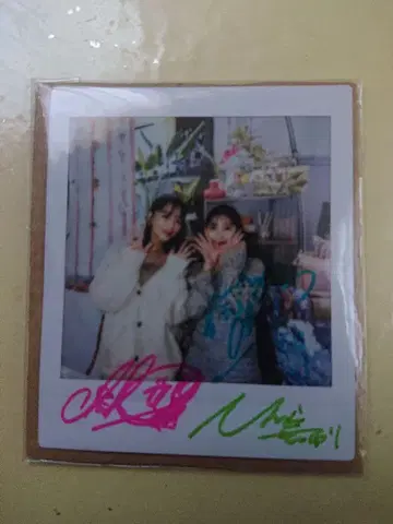 곤도 치히로 친필 사인 폴라로이드