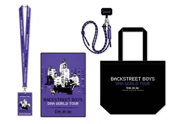 Backstreet Boys 플라티나 혜택 굿즈 새상품