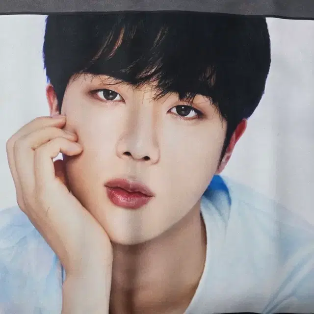 BE 방탄소년단 패브릭 포스터 진 정국