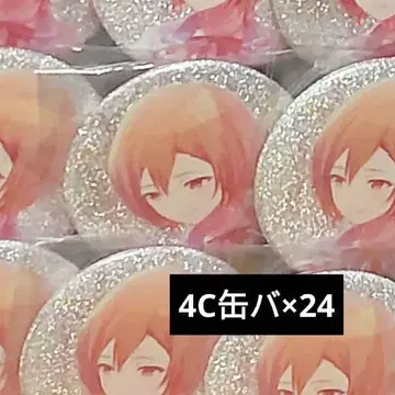 MEIKO 4C (흔들림 그대로) 캔뱃지 24개 프로세카