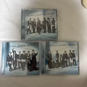 절대절명 Beautiful AS ONE