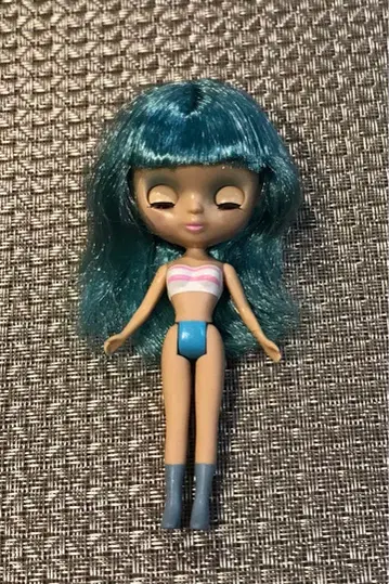 미니 브라이스 브라이스 레이니 데이 본체 커스텀 인형