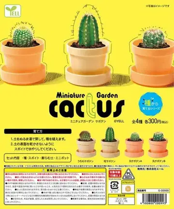 미니어처 가든 선인장 전 4종 세트 에일