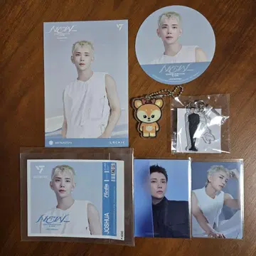 SEVENTEEN NEW_ 오리지널 굿즈 미니틴 아크릴 키링 조슈아