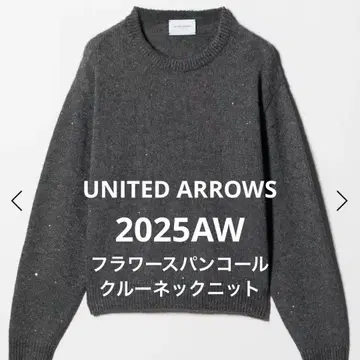 2025AW 유나이티드 애로우즈 니트 플라워 스팽글 크루넥
