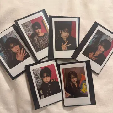 ViViD SHIN 폴라로이드 세트