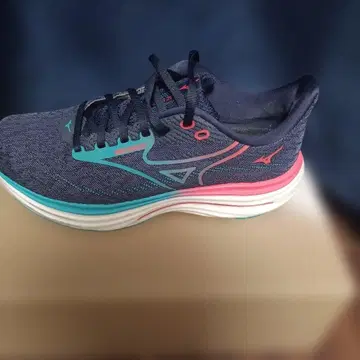 미즈노 웨이브 라이더 29