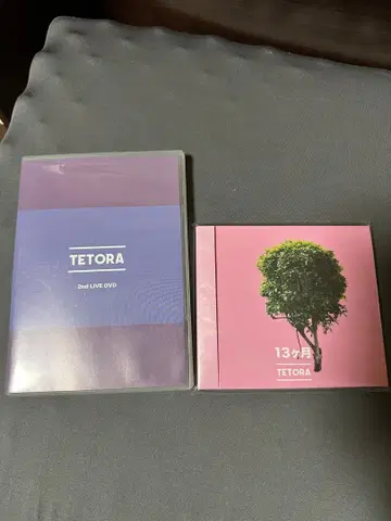 TETORA 2nd LIVE DVD & 13개월