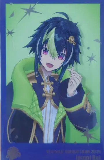 WORLD TOUR 2025 고베 폴라로이드풍 카드 세트 이나미 라이