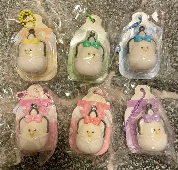 동그란 눈의 생굴 포장 블리스터 PKG 6종 컴플리트